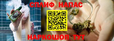 шишки Можга