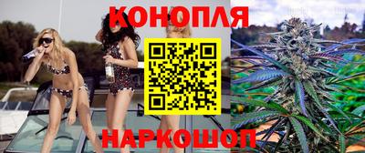 шишки Можга