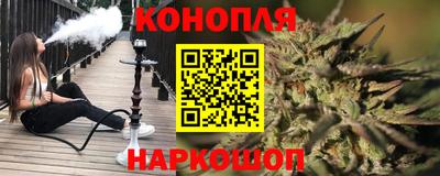 шишки Можга