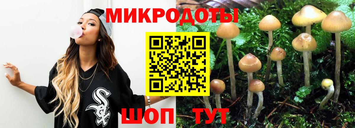 Владимир  Псилоцибиновые грибы ЛСД  Вход с VPN  Галлюциногенные грибы Cubensis 