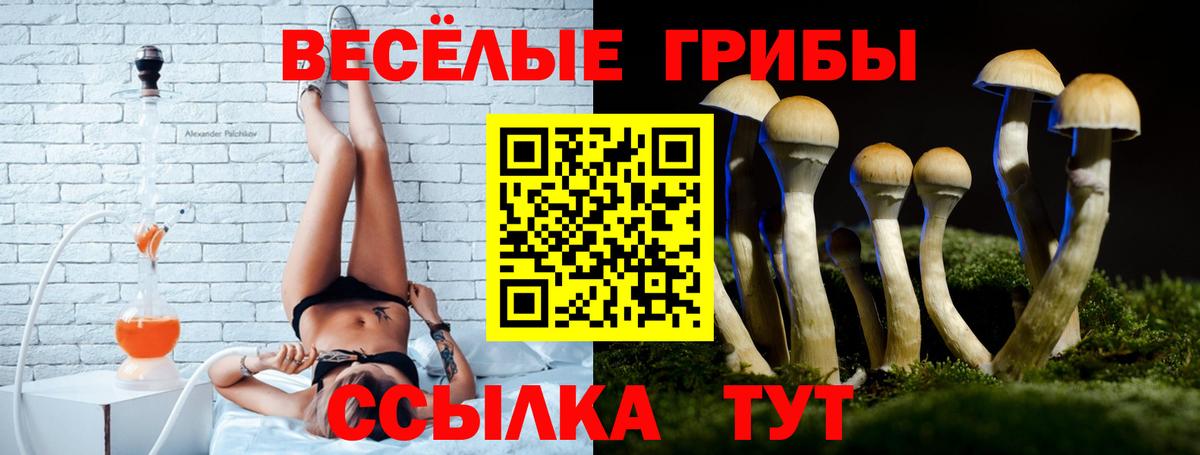 Псилоцибиновые грибы GOLDEN TEACHER Владимир